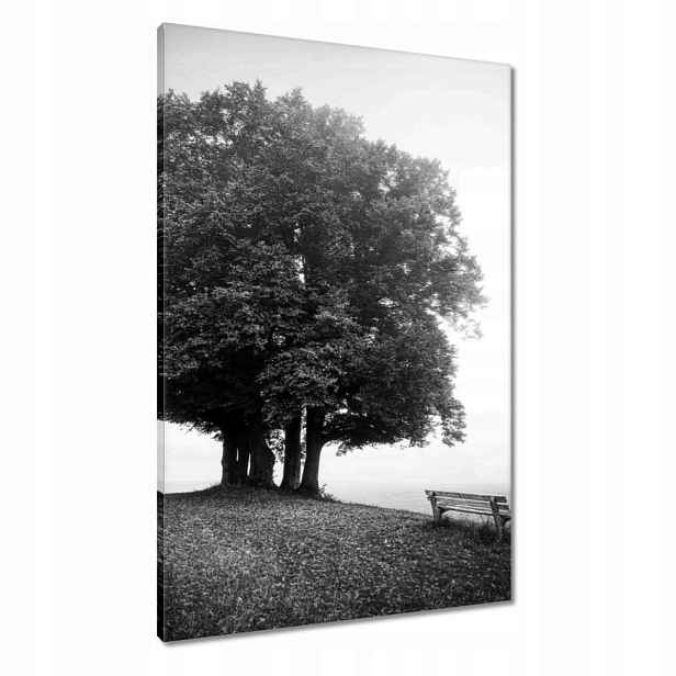 Obrazy 60x90 Krajina v šedé barvě