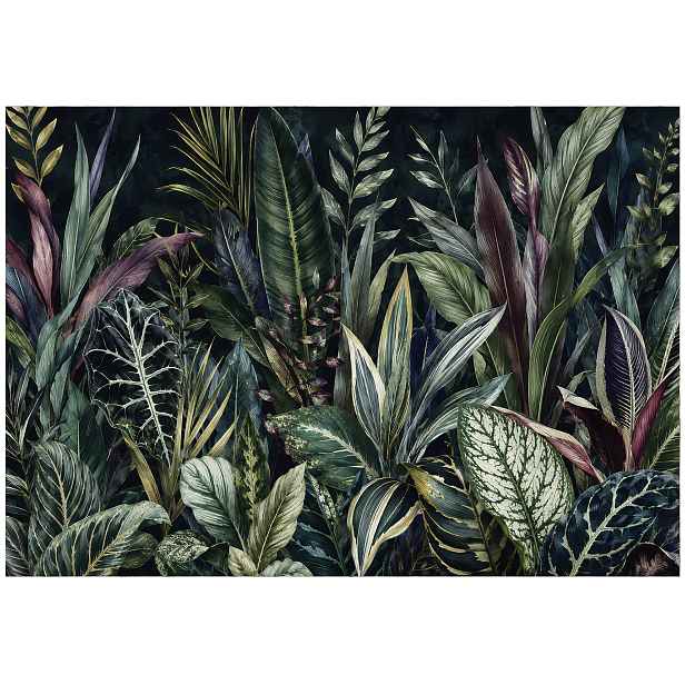 Fototapeta Listy Džungle Les Tropický Zelený Botanické Rostliny 254x184