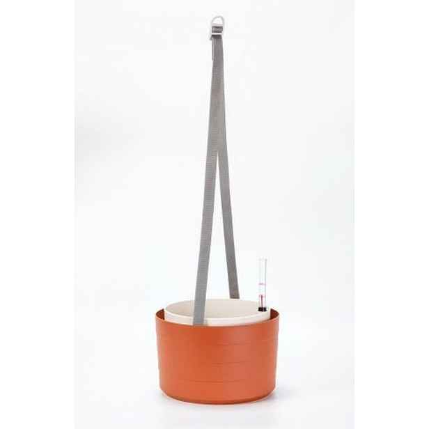 žardina d26cm TER/slon.kost BERBERIS, závěsná