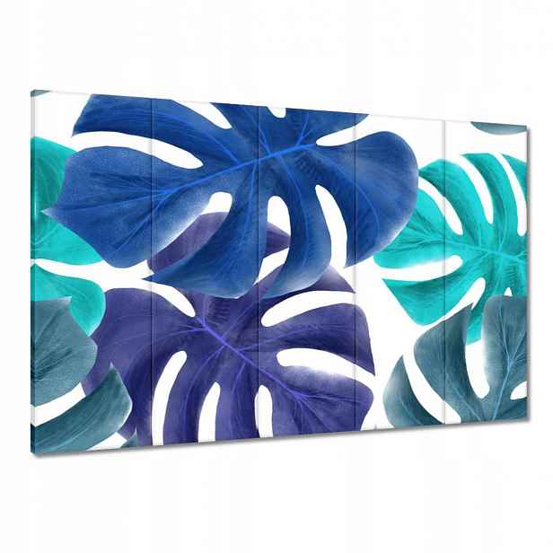 Obrazy 100x70 Monstera Listy Modrá
