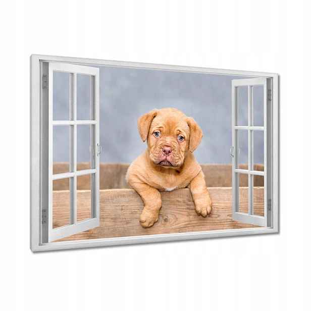 Obrazy 90x60 Štěňátko DogueDeBordeaux
