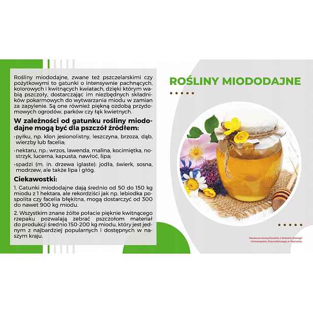 Vědecká tabule Medonosné rostliny 49x30 cm pro rám Model Wojtek 1 Mkw