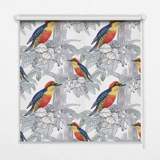 TULUP VNITŘNÍ roleta - okenní roleta - roleta - 60x140 cm - Barevný pták