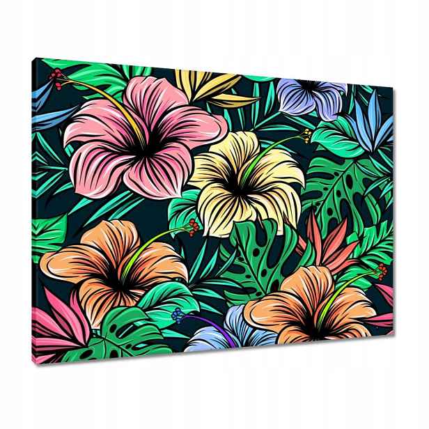 Obrazy 80x60 Monstera Zelený list