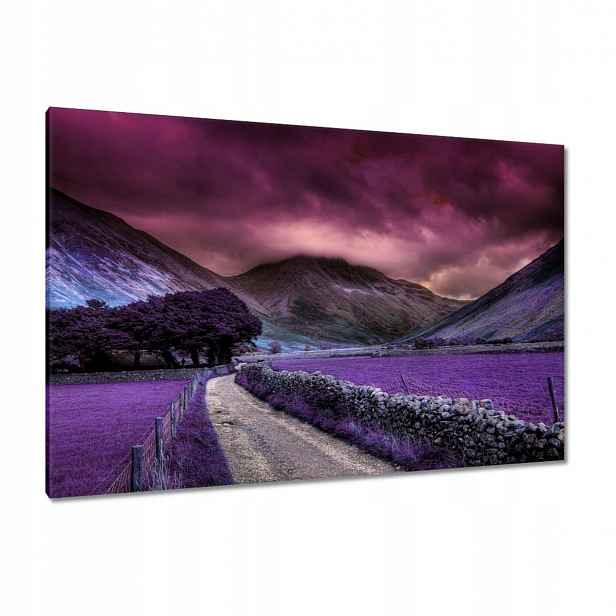 Obrazy 120x80 Fialová krajina