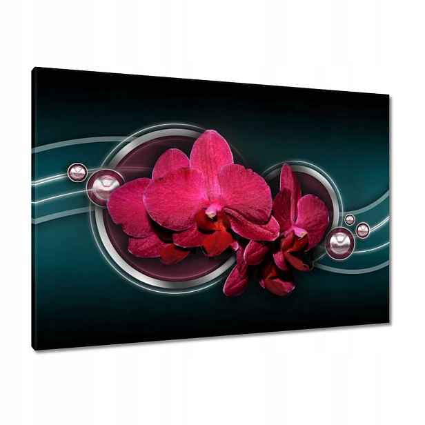 Obrazy 100x70 Fialový orchidej