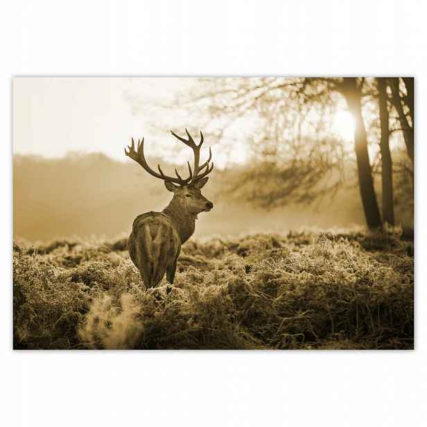 Fototapety flizelina 104x70 Jelen Sepia