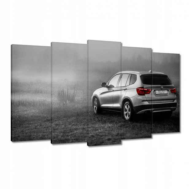 Obrazy 100x60 Auto Bmw X3