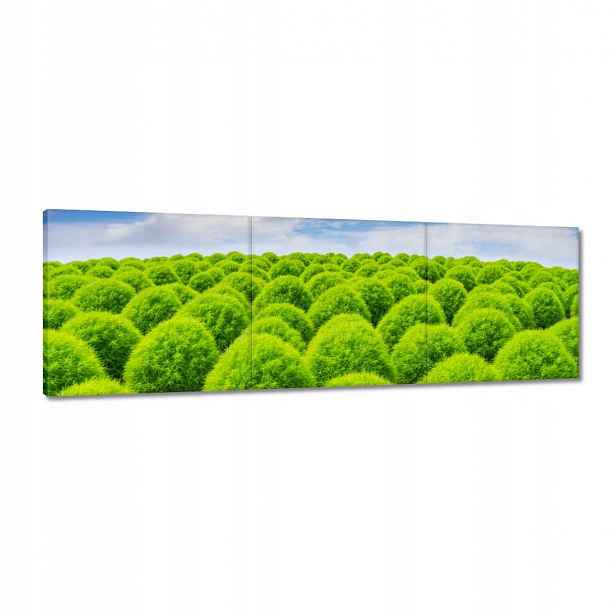 Obrazy 150x50 Zelený pohled Dolina