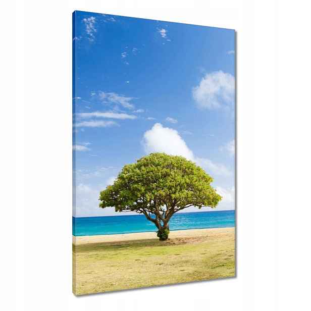 Obrazy 60x90 Krajina s stromkem