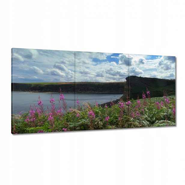 Obrazy 120x60 Fialové květy