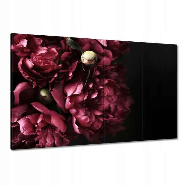 Obrazy 120x80 Krásné fialové pivoňky