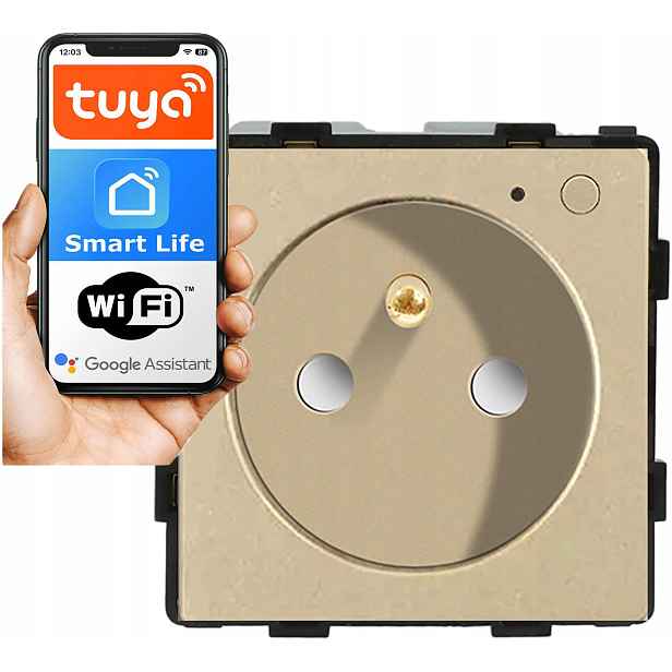 Modul Vložka Zásuvka Inteligentní Zásuvka 230V S Kolíkem Zlatá WiFi 1F