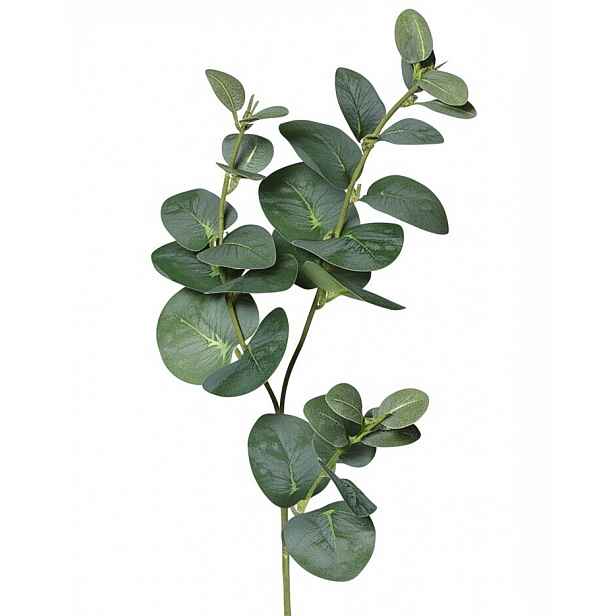 Umělá rostlina Eukalyptus 64 cm, zelená