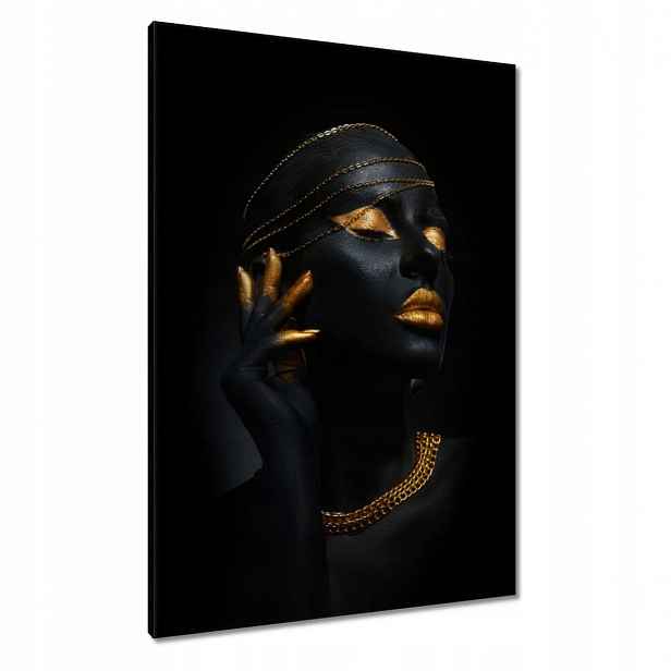 Obrazy 70x100 Zlatá aparace