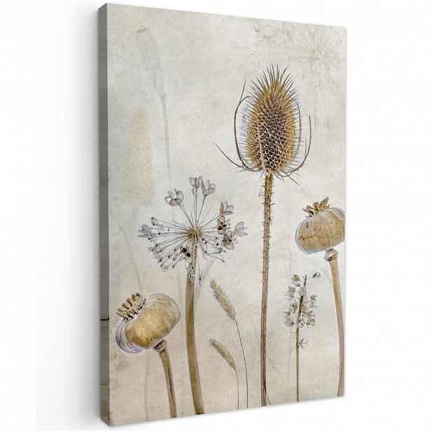 MuchoWow OBRAZ NA PLÁTNĚ Květiny - Akvarel - Zátiší - Hnědá - Vintage 80x120 cm