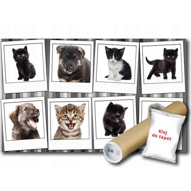 Fototapeta Pes Kočka 12D F4XL 416x290 F10453