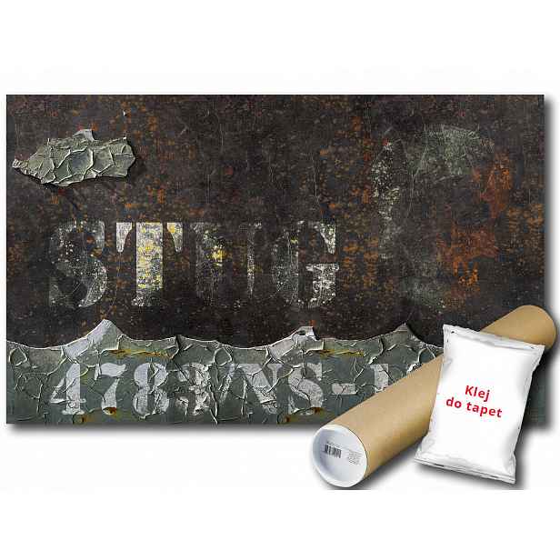 Fototapeta Metal Blacha 6H V8 368x254 F2703