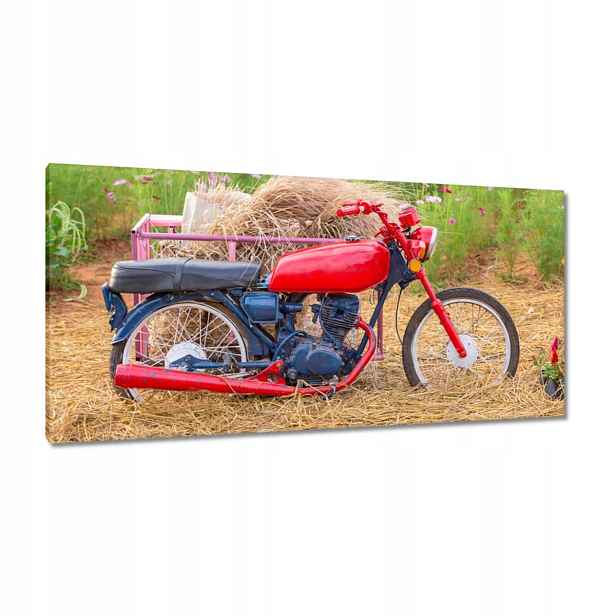 Obrazy 115x55 Červený motocykl Květiny