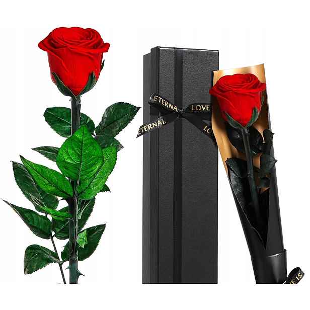 Věčná Růže Se Stonkem, Konzervovaná, Červená Valentýnská