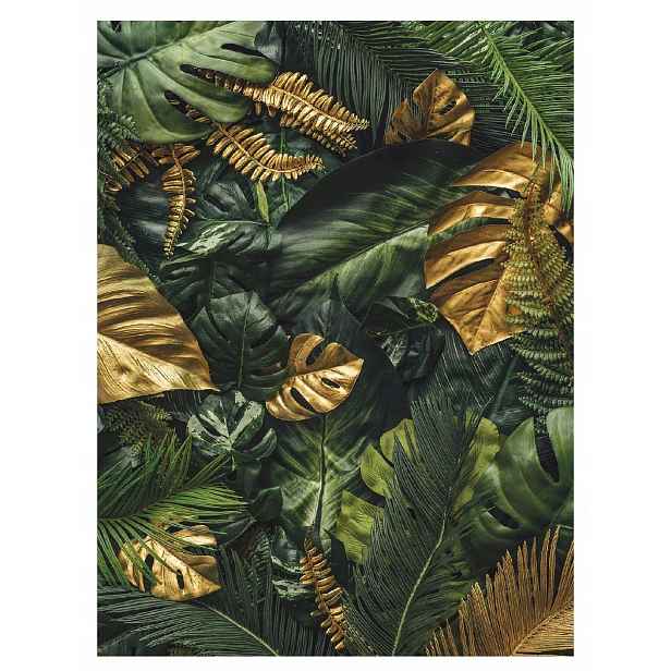 Fototapeta Džungle listy monstera Tapeta 184x254