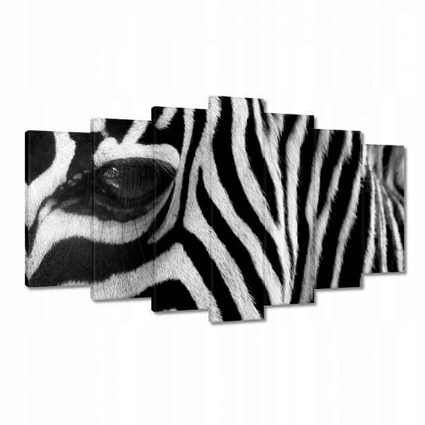 Obrazy 140x80 Černobílé pruhy Zebra