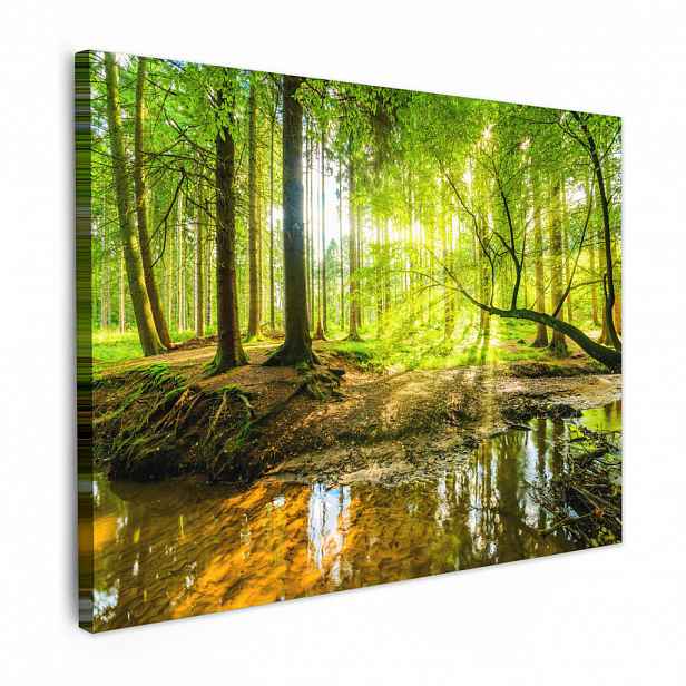 MuchoWow OBRAZ NA PLÁTNĚ Les - Krajina - Voda - Stromy - Slunce - Zeleň - Příroda 40x30 cm