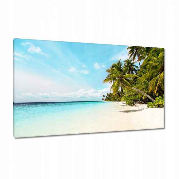 Obrazy 120x70 Tropy Krajina Palmy