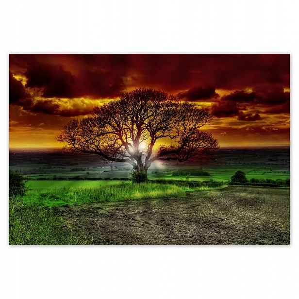 Fototapety flizelina 152x104 Kouzelný strom