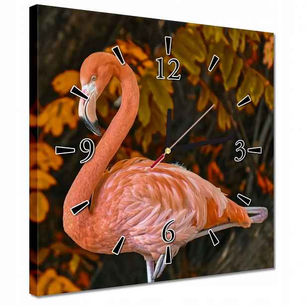 Nástěnné hodiny 30x30 Krásný plameňák