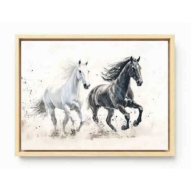 Obraz Rám Americký Box Akvarel Kůň Koně Bílý Černý Cval 80x60