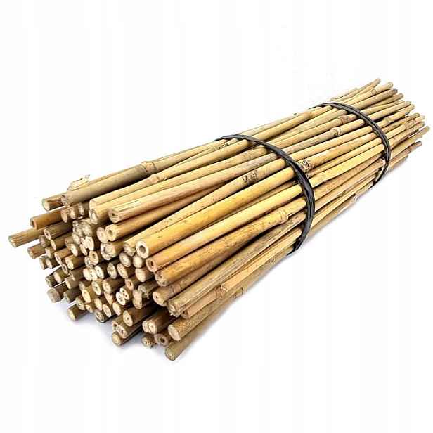 Bambusové tyčky 60 cm 100 Ks Hrubé 10/12, podpěrné tyče pro květiny rostlin
