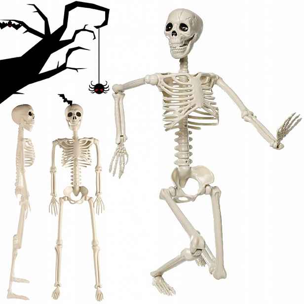 Realistický Kostra 94 CM Pohyblivé Rybníky Dekorace Na Halloween Kostlivec
