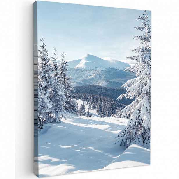 MuchoWow OBRAZ NA PLÁTNĚ Zimní krajina - Příroda - Hory - Stromy - Sníh 60x80 cm