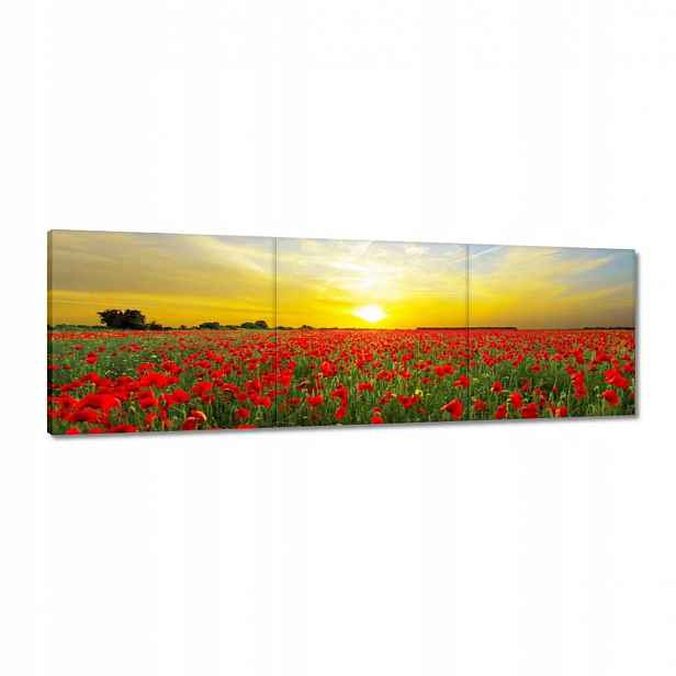 Obrazy 120x40 Pole máků se západem