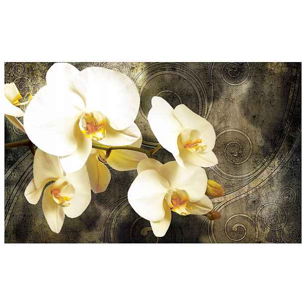 Fototapeta Bílé orchideje elegance a klid vinylová 208x146 lepidlo