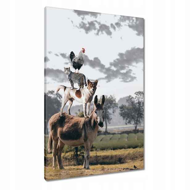Obrazy 60x90 Zvířata Zvířátka