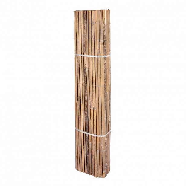 CLONA NA PLOT 100/300 cm