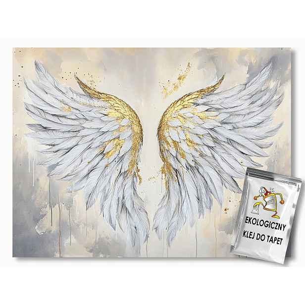 Fototapeta Flizelina Mural Křídla Anděl Boho Glamour 312x219 130g