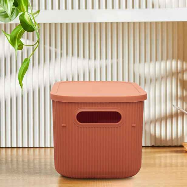 Storage Box 241781