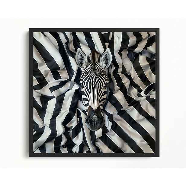 Obraz Rám American Box Černý Bílý Zebra Portrét Látka Povlečení 50x50