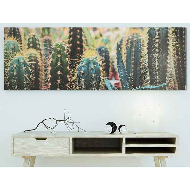 Obraz na plátně Kaktusy, 150x50 cm