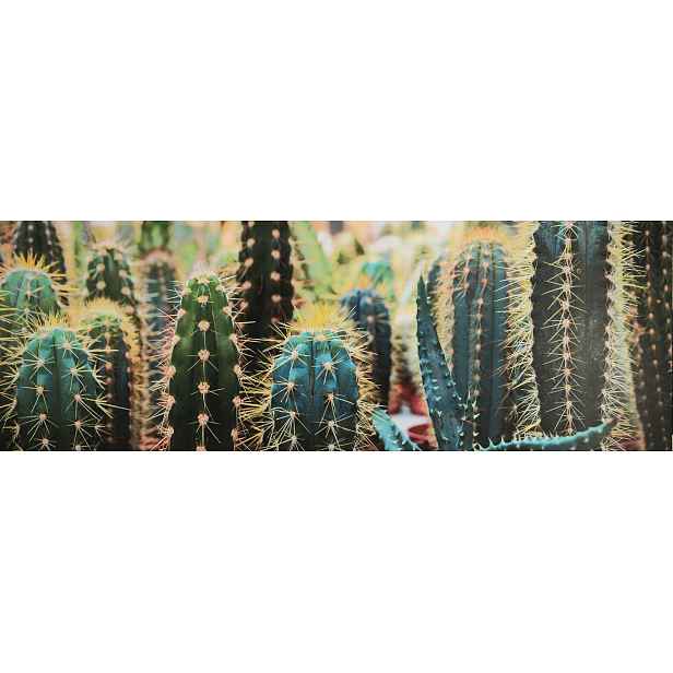 Obraz na plátně Kaktusy, 150x50 cm