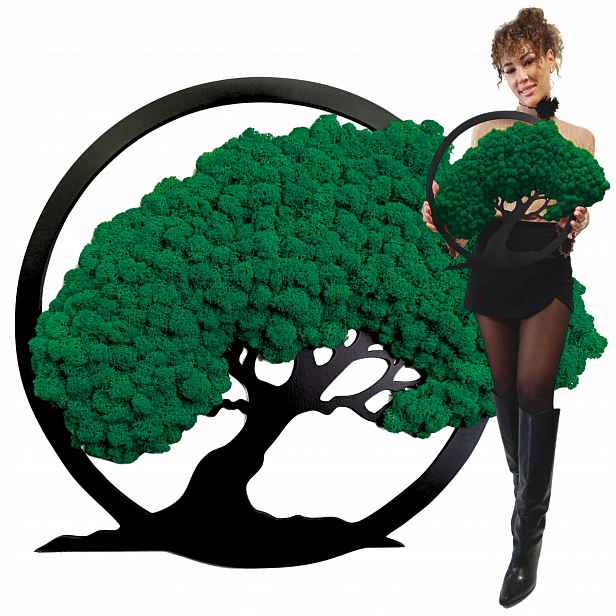 Obraz Mech Chrobotek Stromek Bonsai Obraz Z Mechu Stromek Na Dárek 50 cm