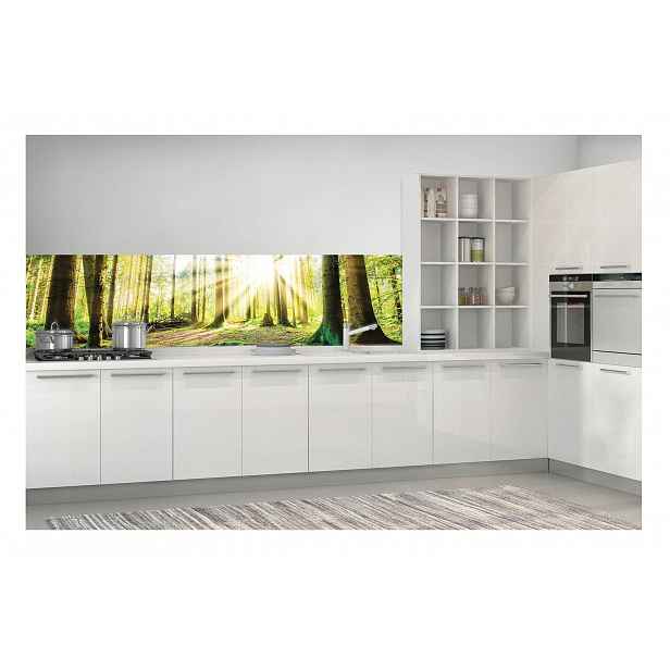 Omyvatelná Kuchyňská fototapeta Les 3D Laminát 250x60