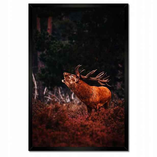 Plakáty v rámu 40x60 Jelen na rykovisku Les