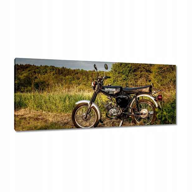Obrazy 100x40 Černý Simson čtyřka 4