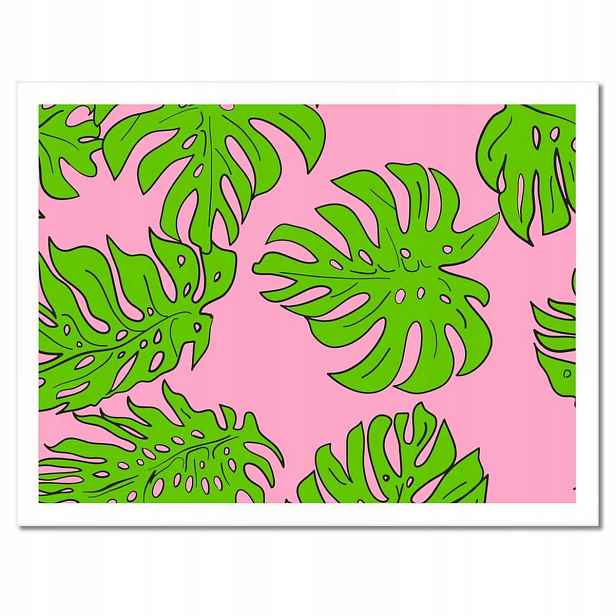 Plakáty v rámu 40x30 Monstera Zelená Růže