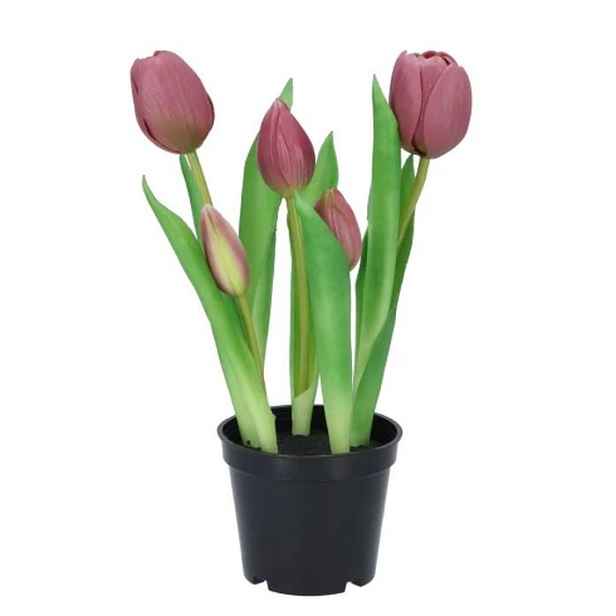 5ks světle fialový realistický tulipán Tulips v květináčku - Ø 8*7/ 26 cm daan kromhout