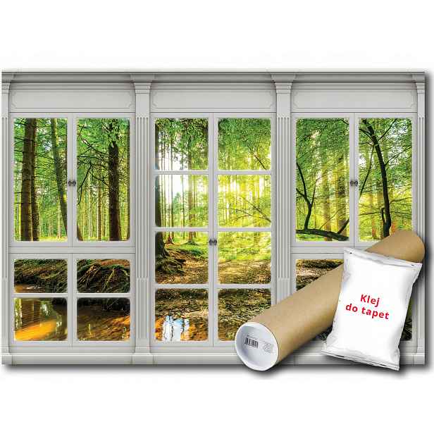 Fototapeta Dveře Okno Les 18C F3XL 416x254 F10637